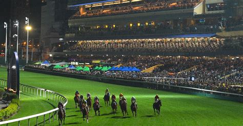 Happy Valley Racing Tips, Best Bets & Odds.
